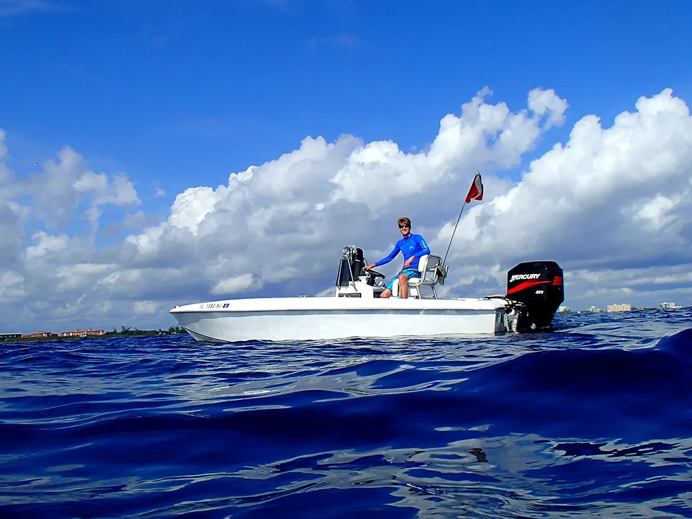 a-south-florida-native a south florida native